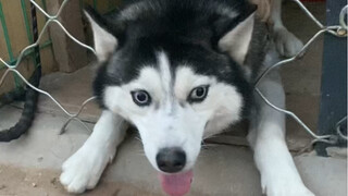 القيام بأمور مضحكة كل يوم