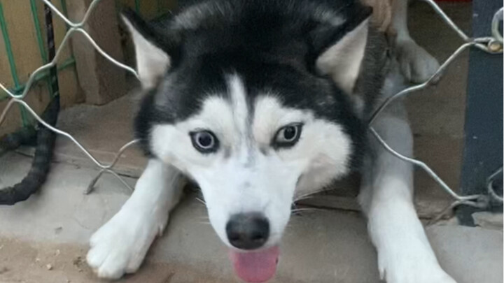 Doing something fun every day