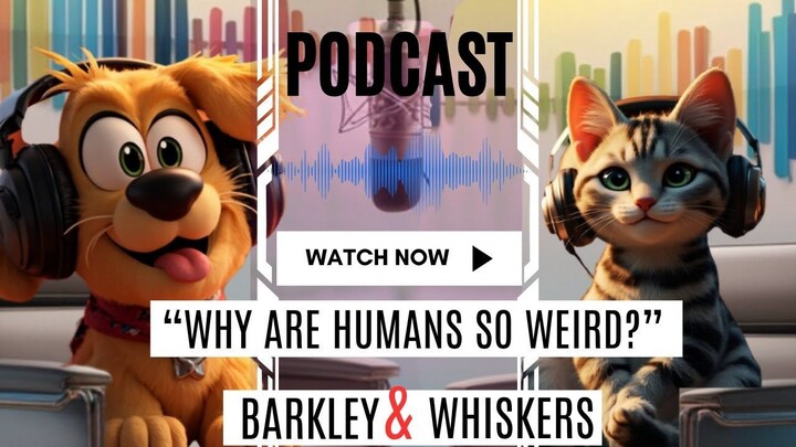 "Barkley & Whiskers Unleashed: Why Are Humans So Weird?" animated short film funny in english