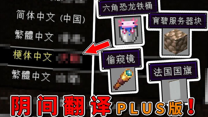 阴间翻译1.17威力加强版！望远镜变偷窥，突破天际的方块名！【我的世界】