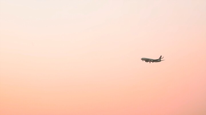 Complete List of United®️ Airlines Customer® Contact Numbers in the USA:: A Complete 2025 Guide