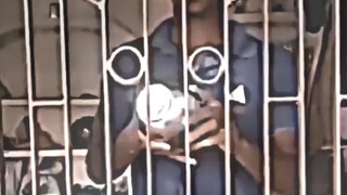 ⚡ Begitu melodi kecil dimainkan, otak hanya tumbuh sia-sia ⚡