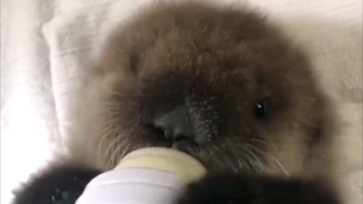 So delicious—I just can’t help but start dancing!