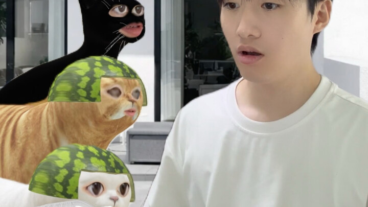 เมื่อแมวเรียนรู้ที่จะยิงด้วยฝาขวดพลาสติก
