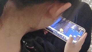 Những người bạn đồng hành hoang dã của bạn: Mèo và Chuột