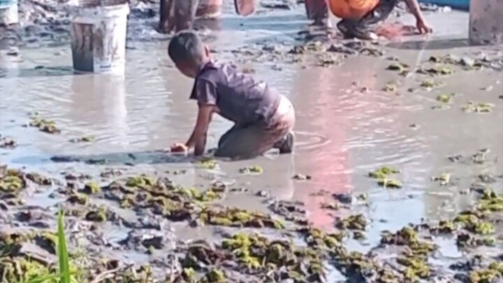 การหาปลาขอครอบครัว