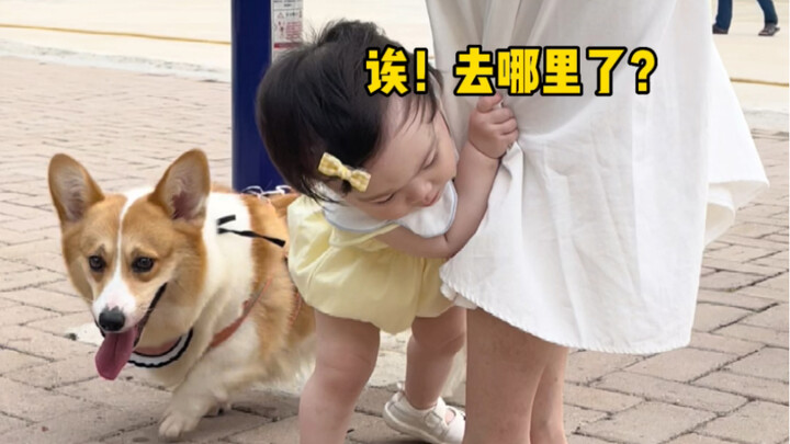Even the corgi didn’t expect to scare such a tiny human baby.
