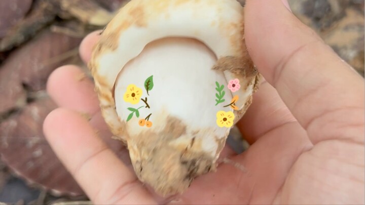 เก็บเห็ดป่า