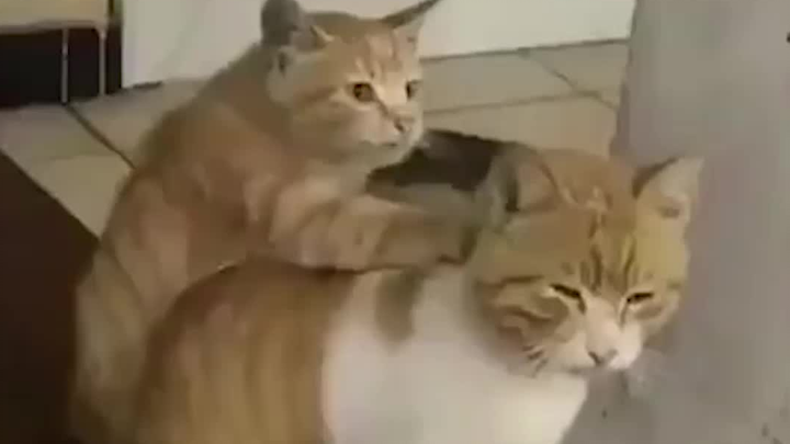 Brother, remember to give money this time