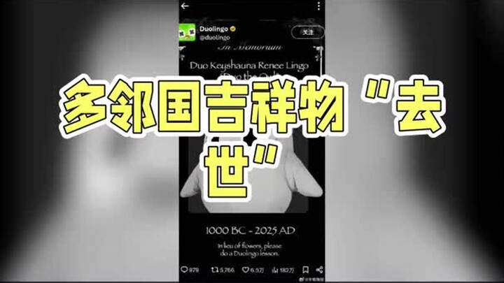 Duolingo’s mascot “passed away”