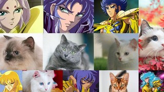 【探索·发现】圣域十二宫“养猫计划”引发的“群殴惨案”