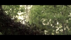 Xa Ngoài Kia Nơi Loài Tôm Hát Full Movie [Sub Việt]