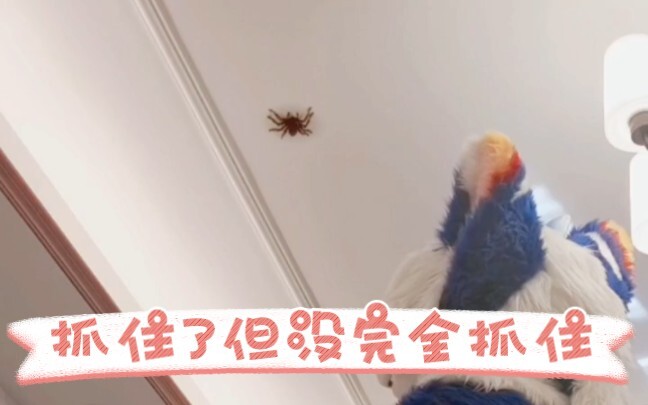 จับได้แล้ว แต่จับไม่หมด