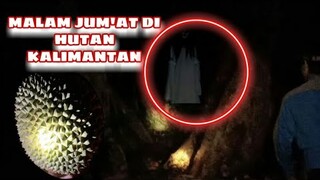 bermalam dihutan kalimantan || pencarian durian hutan