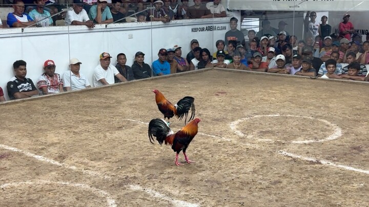 PCC 2nd Circuit Derby @ SOLANA SPORTS AND AMUSEMENT CENTER - WLW