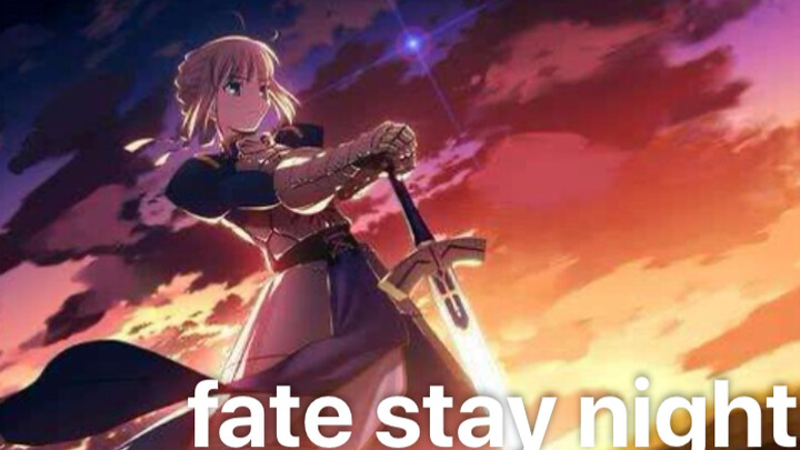 Fate stay night