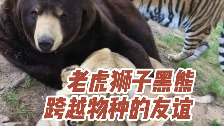 ต่อให้ไปอยู่ในอีกมิติหนึ่ง เราก็ยังต้องจำเจ้าได้อย่างแน่นอน