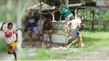 SNAKE "PRANK"2.O|ANGBO BROTHERS
