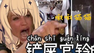 Jiujiu Lingbao (×) Jiujiu Cat (√) The daily life of Lingbao, the poop scooper