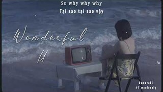 [Vietsub+Lyrics] Wonderful U - AGA  || Tiktok song