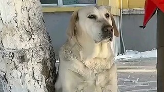 Big Rag really has an extensive network of contacts.