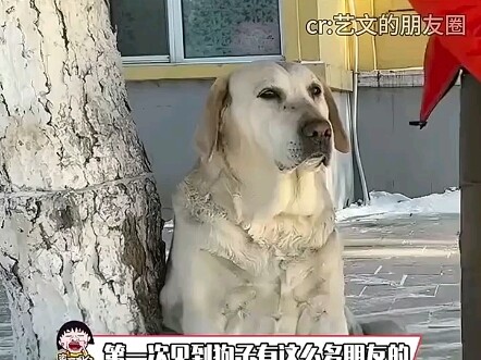 Big Rag really has an extensive network of contacts.