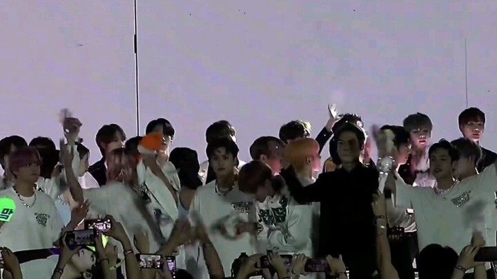 This must be the meaning of the SM family.