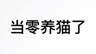 【名柯|零】当零养猫了