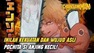 KEKUATAN DAHSYAT POCHITA DAN ALASAN DENJI JADI CHAINSAW MAN!