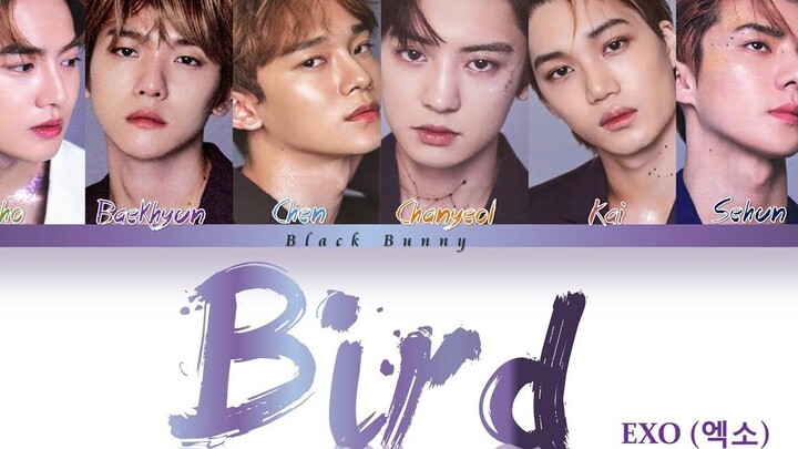 EXO's latest Japanese single "Bird" audio released