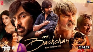 Mr Bachchan 2024 Hindi