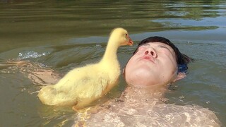Ngỗng: Thôi nào! Để tôi đứng trên vai bạn, tôi sợ lắm.