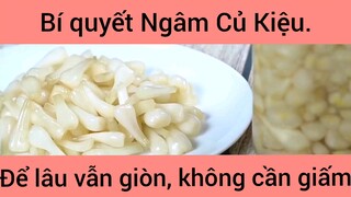 Bí quyết Ngâm Củ Kiệu để lâu vẫn giòn không cần giấm