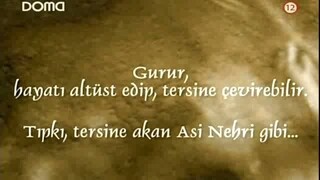 ASI 95