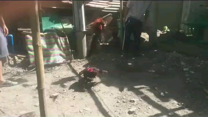 my own breed of clarets