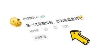这是一座狗都不来的雪山岛！！！