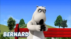 Bernard Bear || A Lucky Day - Cartoon Children