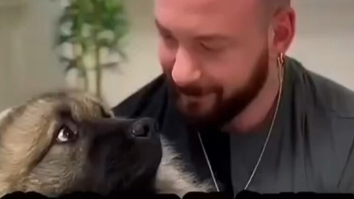 The dog's expression when the bone is straightened! Super stress-relieving