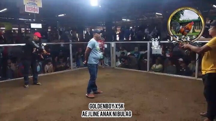 WWL Goldenboy x5K AEJ lines and JRP Gold!