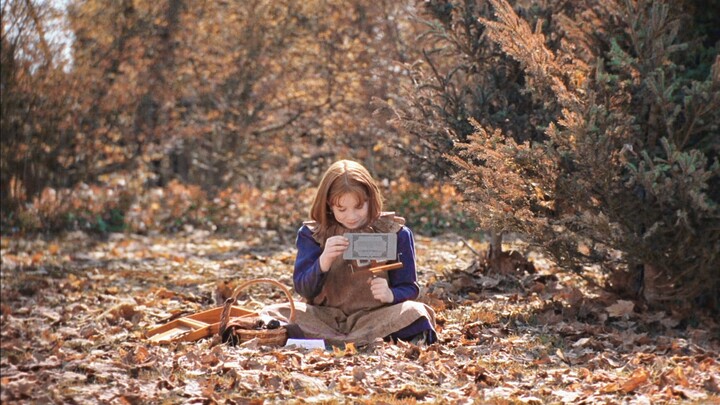 สวยงามเหลือเกิน! ภาพสาว ๆ ผ่านเลนส์ของผู้กำกับหญิง