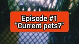 Current Pets? | Daily Life of JSRL