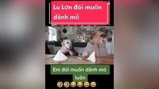 giaitri chócute chómèohàihước Lu Lơn ăn sáng