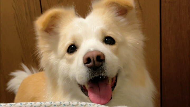 I got secretly kissed again.