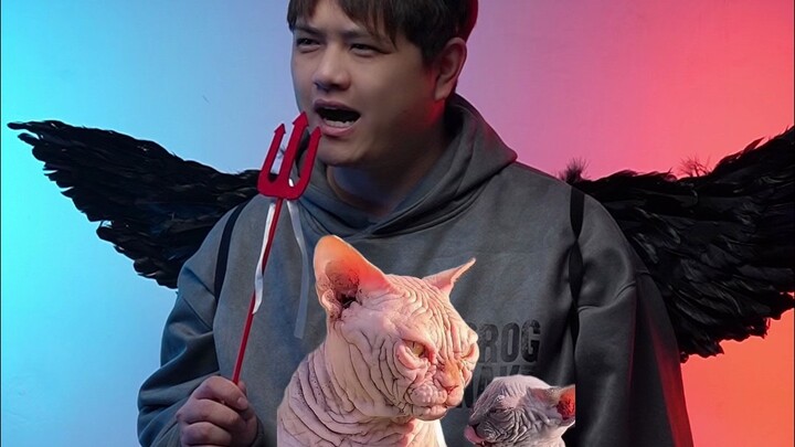 แมวบูลล์ด็อกไร้ขนแบบนี้ พวกคุณชอบจริงๆ เหรอ?