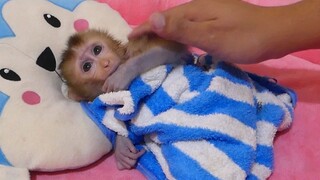 Cute Baby Mino Sleep Sucking Finger After Take The Bath