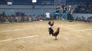sweater line naunahan pero d papahuli champion 2nd fight