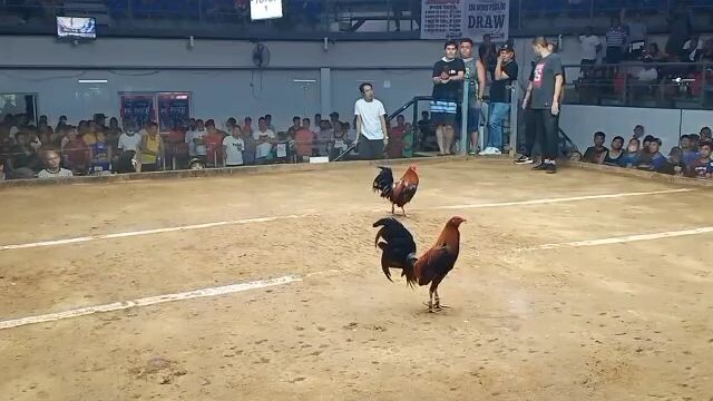 sweater line naunahan pero d papahuli champion 2nd fight