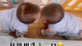 你可以永远相信团团圆圆，他俩真的很会在一起玩，最后那个玩法是我也没想到的！