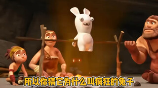 不然你以为它为什么叫《疯狂的兔子》 #疯狂的兔子 #鹅滴神片 #抽象 #概念神 #万万没想到