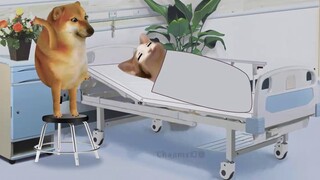 The difference between how your boyfriend treats your girlfriend now and in the future